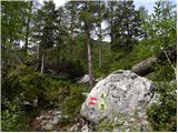 Podkraj / Unterort - Končnikov vrh